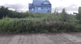 Foreclosed Residential Lot in Roxas, Capiz (Philippine Business Bank)