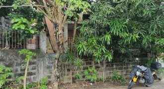 Foreclosed House and Lot in San Mateo, Rizal, Luzon #28