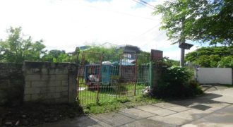 Foreclosed Residential Lot in General Tinio, Nueva Ecija (Philippine Business Bank) #2