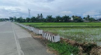 Foreclosed Agricultural Lot in Luna, Isabela (Philippine Business Bank)