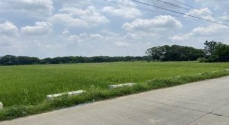 Foreclosed Agricultural Lot in Pandi, Bulacan