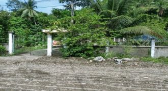 Foreclosed Residential Lot in Tagum, Davao del Sur (Philippine Business Bank) #3