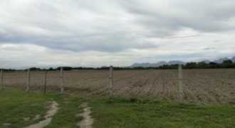 Foreclosed Agricultural Lot in Pampanga (Philippine Business Bank)