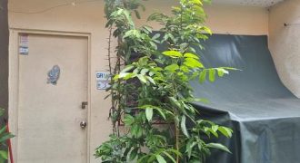 Foreclosed House and Lot in San Mateo, Rizal, Luzon #27