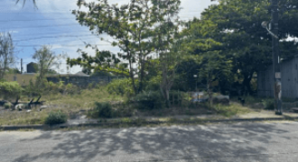 Foreclosed Residential Lot in San Antonio, Zambales (Philippine Business Bank) #5