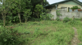 Foreclosed Residential Lot in Tagum, Davao del Sur (Philippine Business Bank) #4