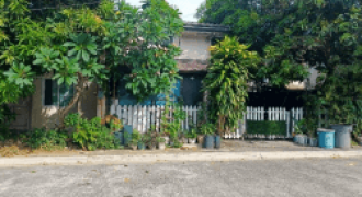 Foreclosed House and Lot in Calamba, Laguna (Philippine Business Bank) #8