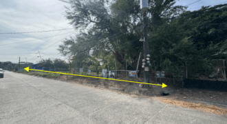 Foreclosed Residential Lot in San Antonio, Zambales (Philippine Business Bank) #3