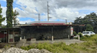 Foreclosed Residential Lot in Tagum, Davao del Sur (Philippine Business Bank) #2