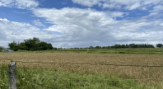 Foreclosed Agricultural Lot in Gapan, Nueva Ecija (Philippine Business Bank)