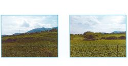 Foreclosed Residential Lot in Tacloban City, Leyte (Philippine Veterans Bank) #2