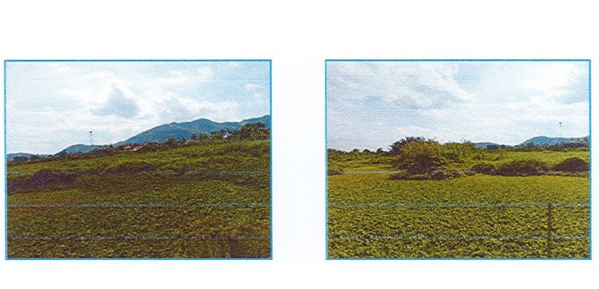 Foreclosed Residential Lot in Tacloban City, Leyte (Philippine Veterans Bank) #2