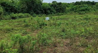 Foreclosed Residential Lot in San Miguel, Bulacan · Lot 31-N (Philippine Veterans Bank)