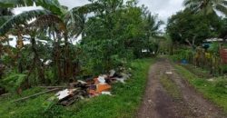 Foreclosed Residential Lot in Daraga (Locsin), Albay · Blk 3 (Philippine Veterans Bank) #4
