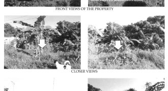 Foreclosed Residential Lot in Bacolod, Negros Occidental · Lot 3 Block 2 (Philippine Veterans Bank)