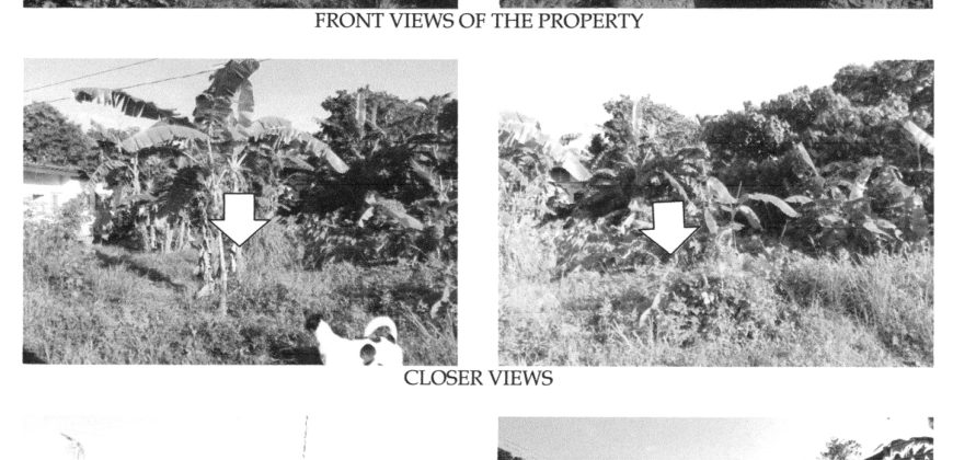 Foreclosed Residential Lot in Bacolod, Negros Occidental · Lot 3 Block 2 (Philippine Veterans Bank)