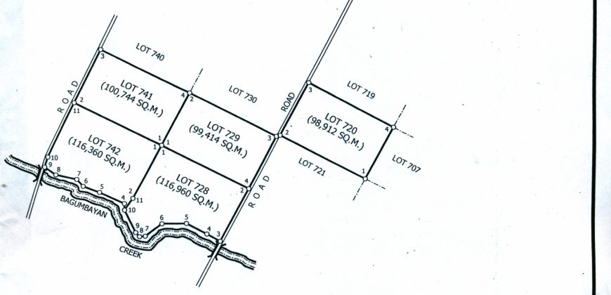 Foreclosed Agricultural Lot in Tubaran, Lanao del Sur (Philippine Veterans Bank)