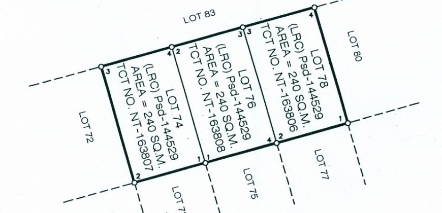 Foreclosed Residential Lot in San Antonio, Nueva Ecija · Lot 74 (Philippine Veterans Bank)