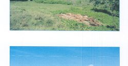 Foreclosed Residential Lot in Daraga (Locsin), Albay · Blk 4 (Philippine Veterans Bank)