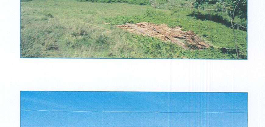 Foreclosed Residential Lot in Daraga (Locsin), Albay · Blk 4 (Philippine Veterans Bank)