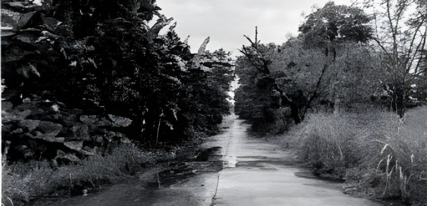 Foreclosed Residential Lot in Laurel, Batangas
