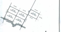 Foreclosed Agricultural Lot in Tubaran, Lanao del Sur · Lot 720 (Philippine Veterans Bank)