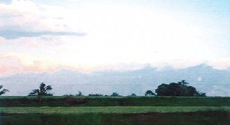 Foreclosed Residential Lot in Aliaga, Nueva Ecija · Lot 21 (Philippine Veterans Bank)