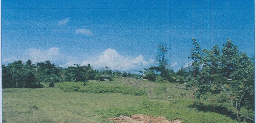 Foreclosed Residential Lot in Daraga, Albay