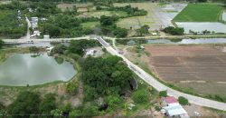 Foreclosed Agricultural Lot in Alfonso Lista, Ifugao