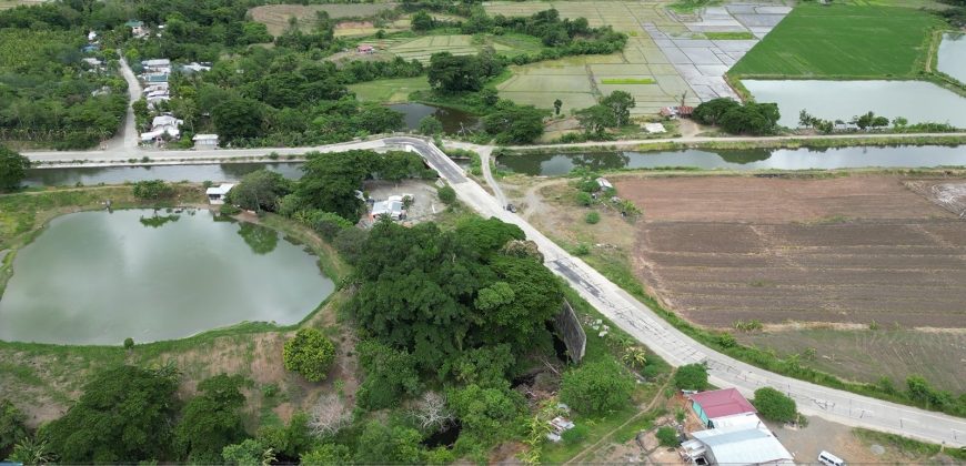 Foreclosed Agricultural Lot in Alfonso Lista, Ifugao