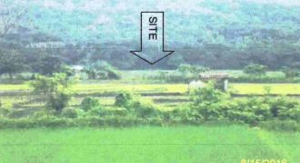 Foreclosed Agricultural Lot in Calintaan, Occidental Mindoro (Philippine Veterans Bank)