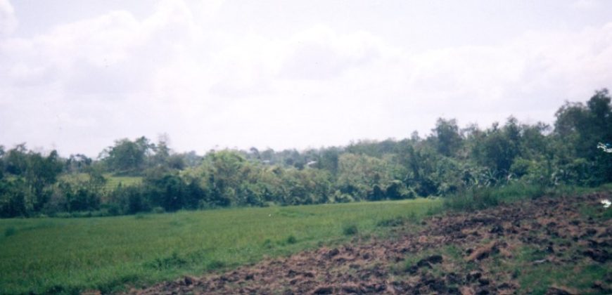 Foreclosed Agricultural Lot in Diffun, Quirino