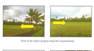 Foreclosed Agricultural Lot in Alangalang, Leyte, Visayas