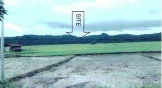 Foreclosed Agricultural Lot in Abra de Ilog, Occidental Mindoro · Lot 4 (Philippine Veterans Bank)