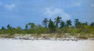 Foreclosed Residential Lot in Polilio, Quezon (Philippine Veterans Bank)