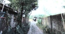 Foreclosed Residential Lot in San Jose, Occidental Mindoro · Blk 11 (Philippine Veterans Bank) #2