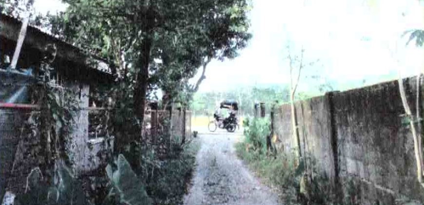 Foreclosed Residential Lot in San Jose, Occidental Mindoro · Blk 11 (Philippine Veterans Bank) #2