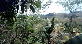 Foreclosed Agricultural Lot in Antipolo City