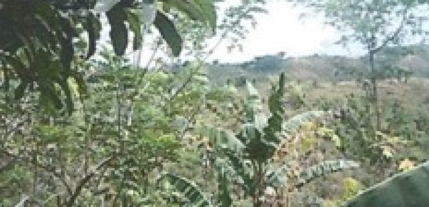 Foreclosed Agricultural Lot in Antipolo, Rizal (Philippine Veterans Bank)