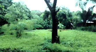 Foreclosed Residential Lot in San Jose, Occidental Mindoro