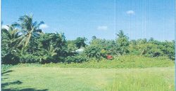 Foreclosed Residential Lot in Daraga (Locsin), Albay · Blk 3 (Philippine Veterans Bank) #21