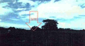 Foreclosed Agricultural Lot in Magsaysay, Occidental Mindoro (Philippine Veterans Bank)