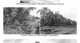 Foreclosed Agricultural Lot in Calinog, Iloilo (Philippine Veterans Bank)