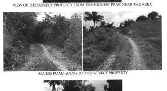 Foreclosed Agricultural Lot in Barotac Viejo, Iloilo (Philippine Veterans Bank) #5