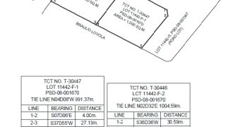 Foreclosed Residential Lot in Palo, Leyte · Lot 11442-F-1 (Philippine Veterans Bank)