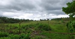 Foreclosed Residential Lot in Daraga (Locsin), Albay · Blk 4 (Philippine Veterans Bank) #5