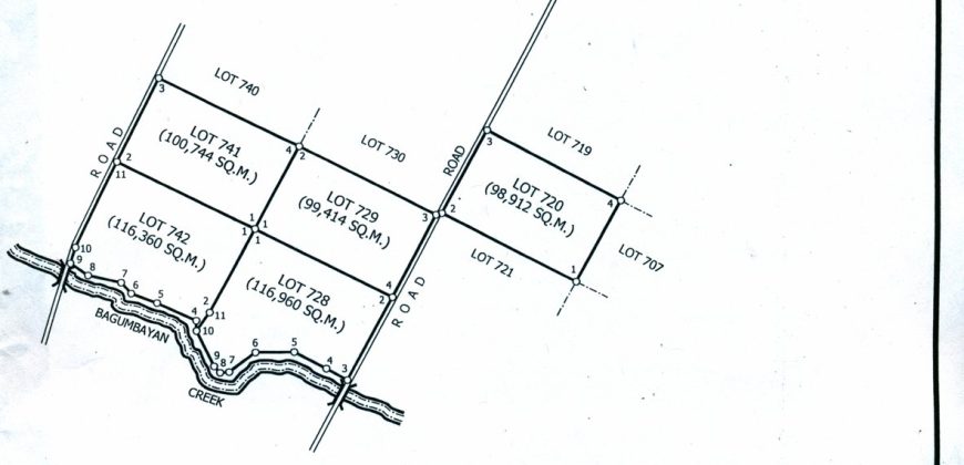 Foreclosed Agricultural Lot in Tubaran, Lanao del Sur · Lot 741 (Philippine Veterans Bank)