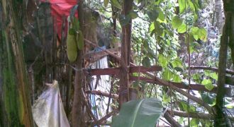 Foreclosed House and Lot in Dasmariñas City