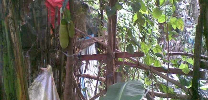 Foreclosed House and Lot in Dasmariñas City