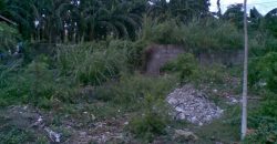 Foreclosed Residential Lot in Dasmariñas City